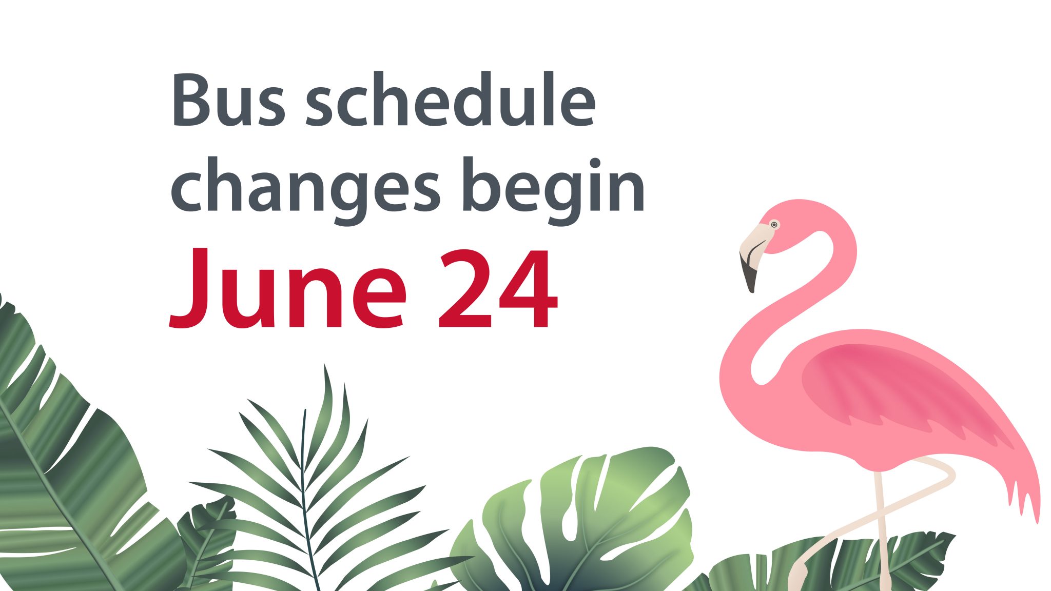 Bus schedule changes begin June 24