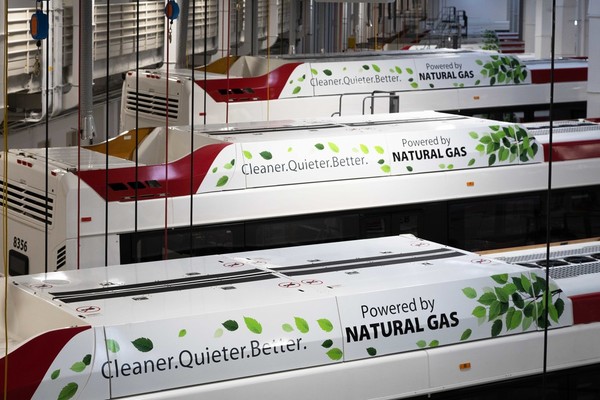 Compressed Natural Gas (CNG) Buses